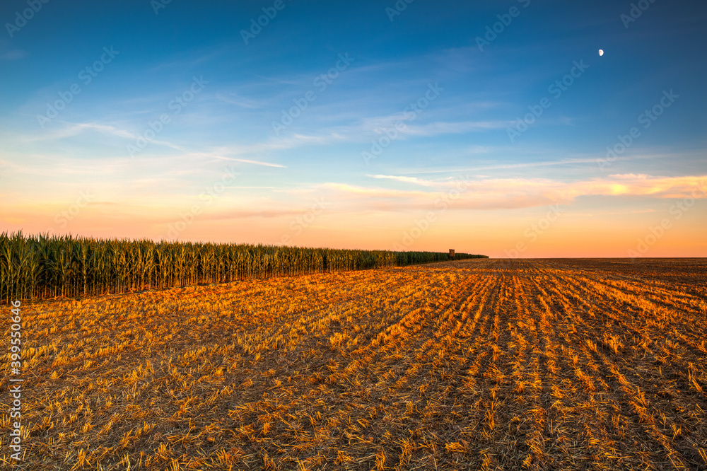 Lookout tower between corn field and empty field after harvesting.