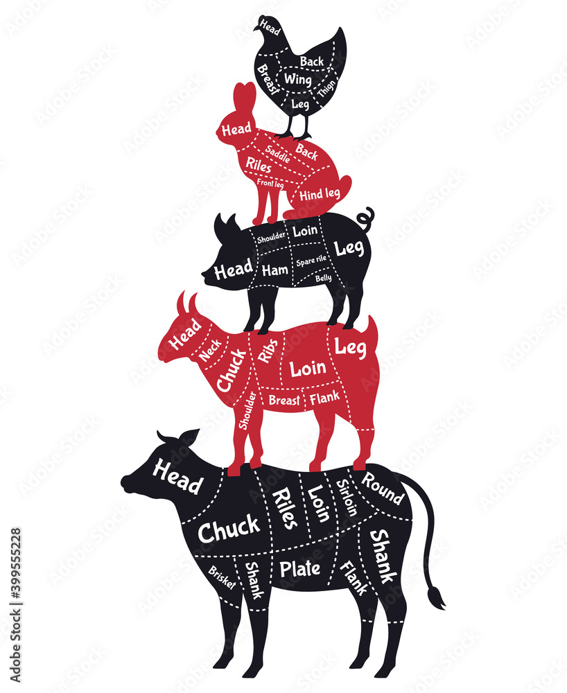 Meat cuts poster. Vintage butcher shop meat cuts schemes, cow, pork, rabbit  and chicken. Butcher shop farm animals scheme vector illustration set. Cow  and pig, rabbit guide, chicken shop scheme Stock Vector |