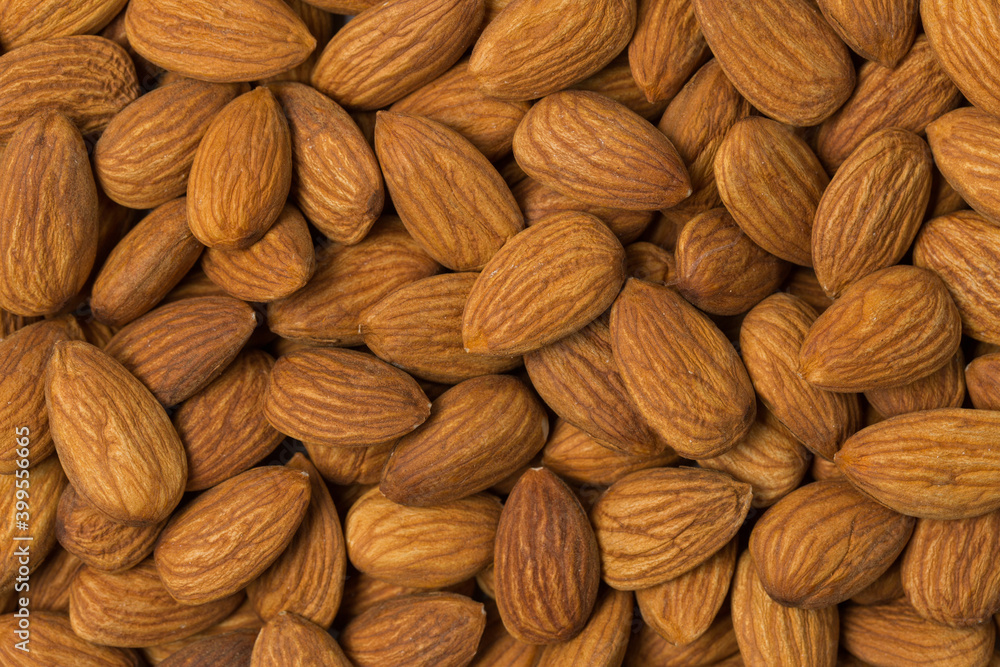 Almond nut in studio Almond nut in studio