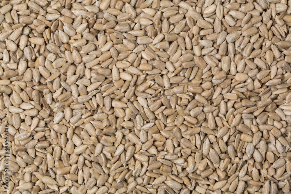 Sunflower seeds in studio Sunflower seeds in studio