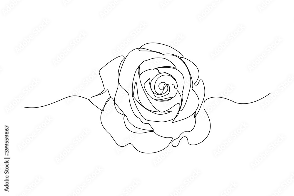 Fototapeta Continuous line drawing of rose flower. One line art concept of beautiful floral for love greeting. Vector illustration