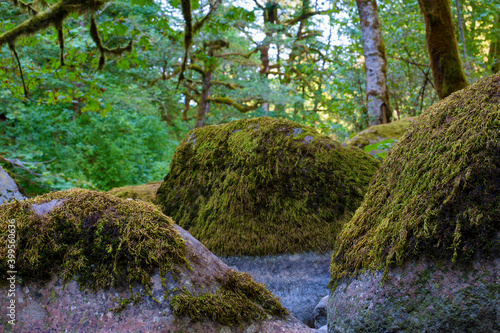 Fotografija Boulders on the banks of Tanner Creek