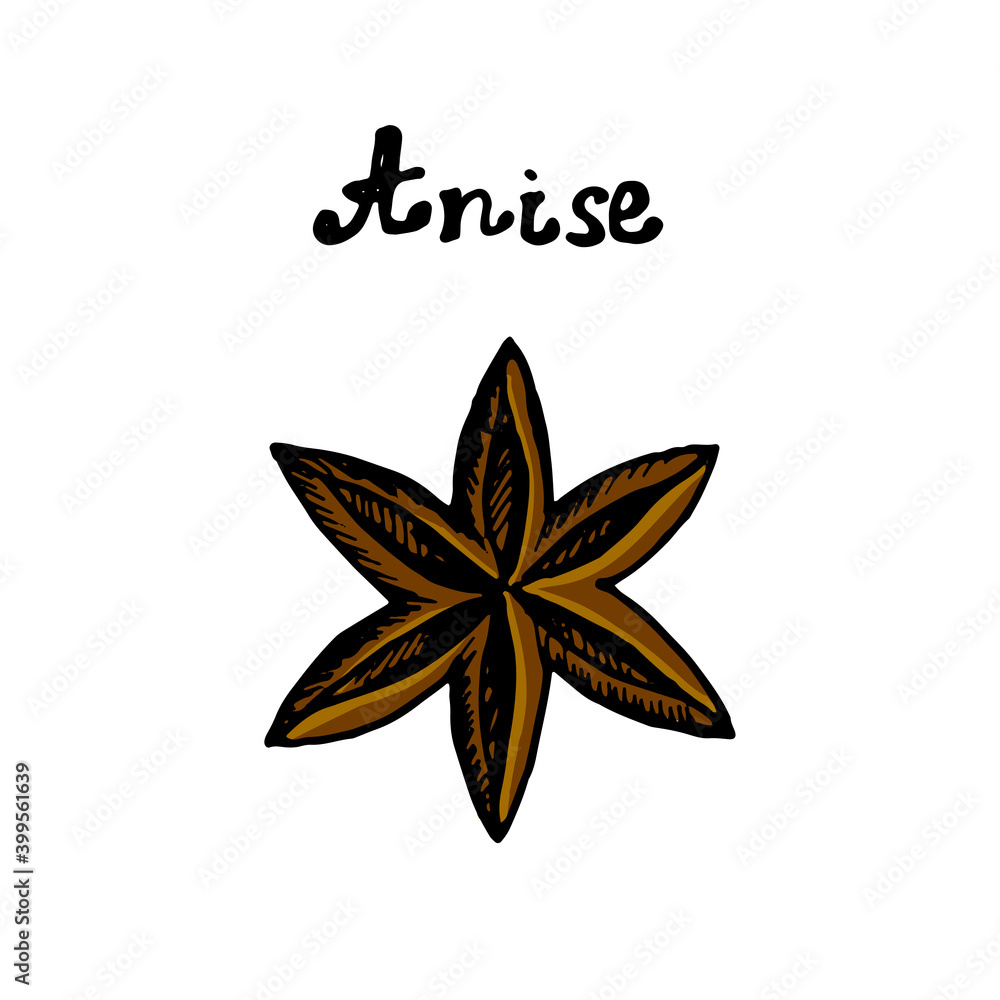 Anise seasoning vector icon in doodle style hand drawn, star anise, colored anise icon with hand lettering Anise. Lettering. Anise seasoning vector icon in doodle style hand drawn, star anise, colored anise icon with hand lettering Anise. Lettering.