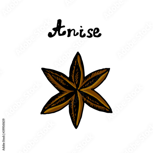 Anise seasoning vector icon in doodle style hand drawn, star anise, colored anise icon with hand lettering Anise. Lettering.