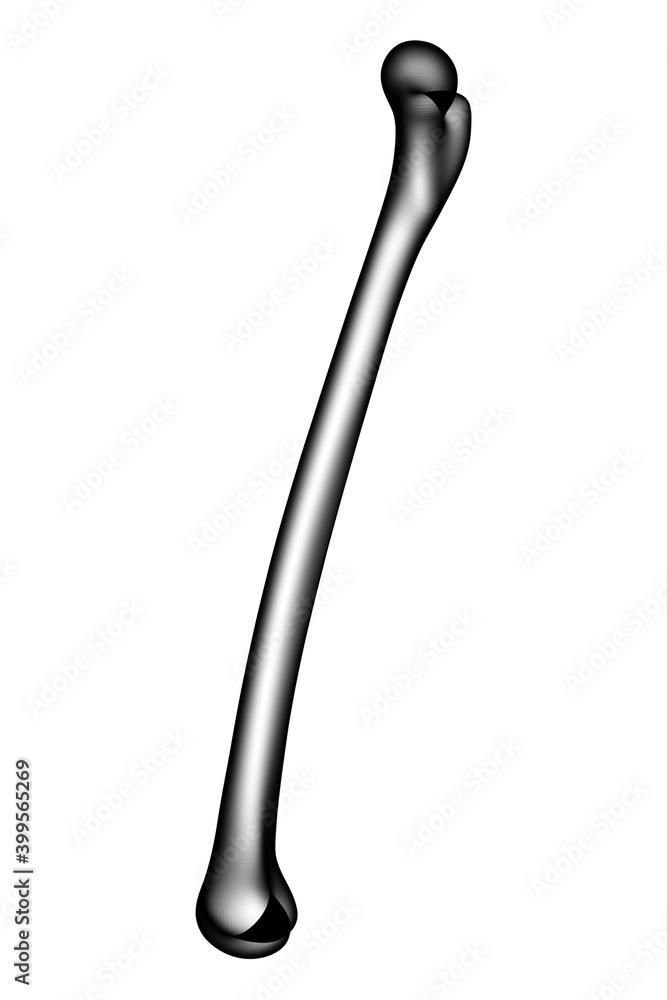 3d illustration medically accurate of the femur 3d illustration medically accurate of the femur