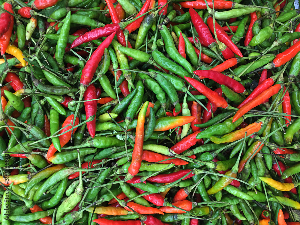View of bird pepper texture background, hot chili pepper View of bird pepper texture background, hot chili pepper