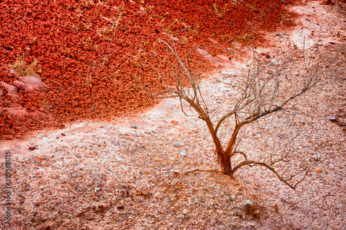 Painted Hills of John Day Fossil Bed in eastern Oregon photo