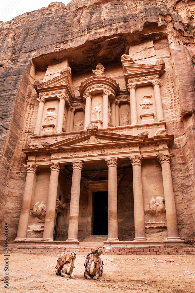 camels in front of the treasury of petra 