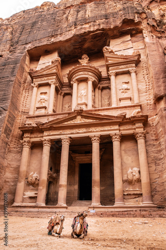 camels in front of the treasury of petra 