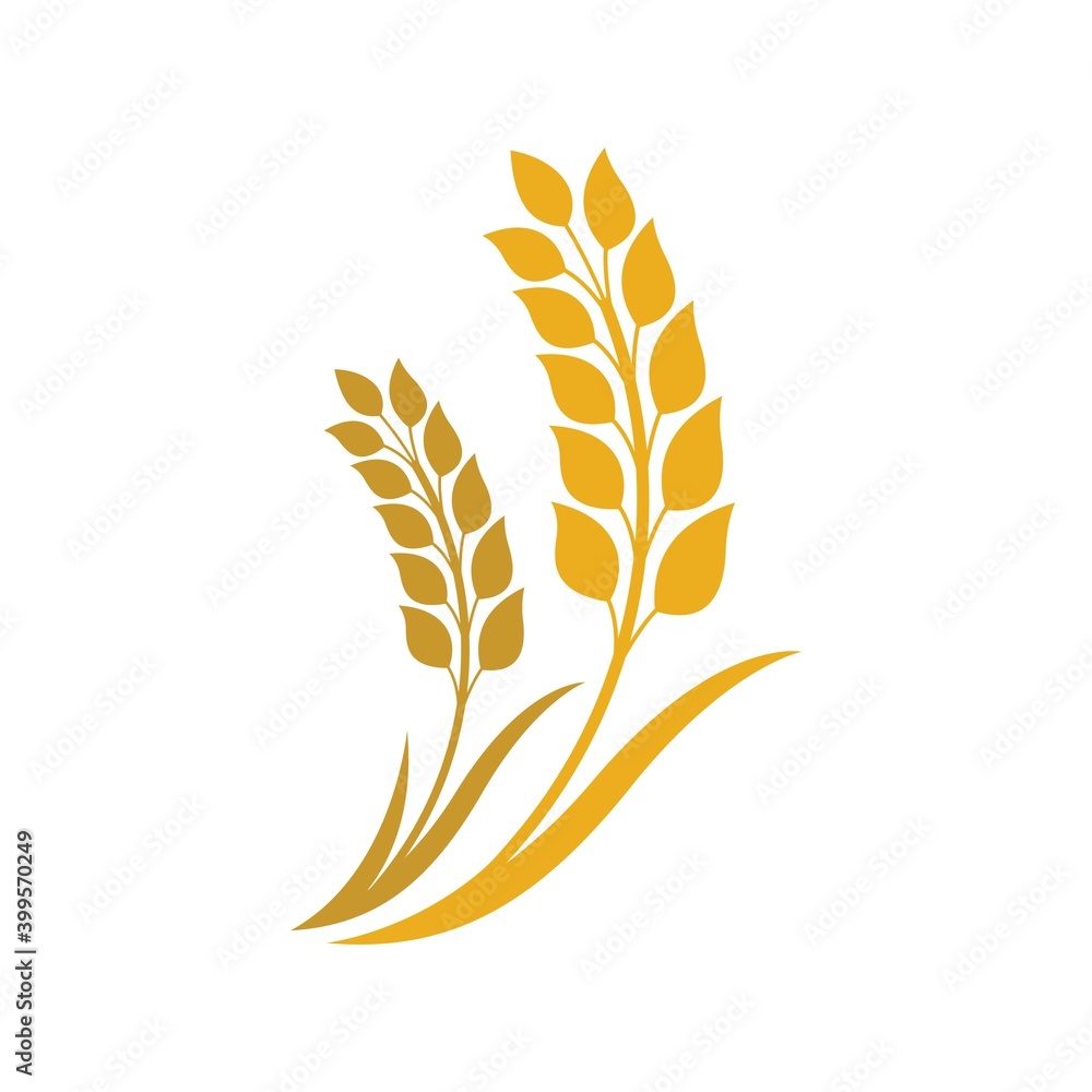 Fototapeta premium Wheat logo images