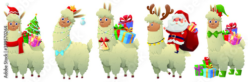 Set of cartoon Christmas lama. Alpaca character has a lot of gift box and santa. Merry Christmas and happy new year with  cute alpaca wearing Christmas costume. Vector illustration