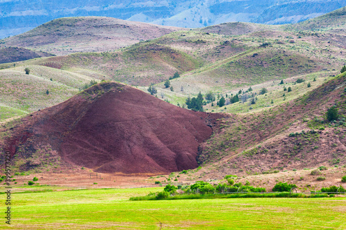 Foree Landscape inJohn Day Fossil Beds National Park photo