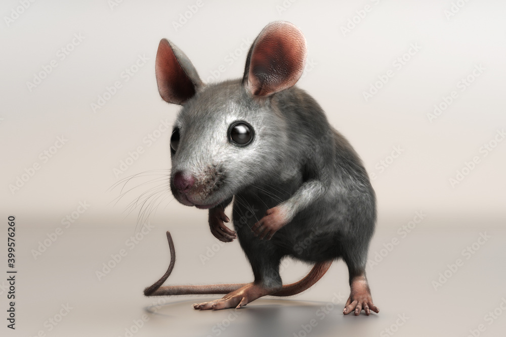 3D Illustration of a house mouse Mus musculus 3D Illustration of a house mouse Mus musculus
