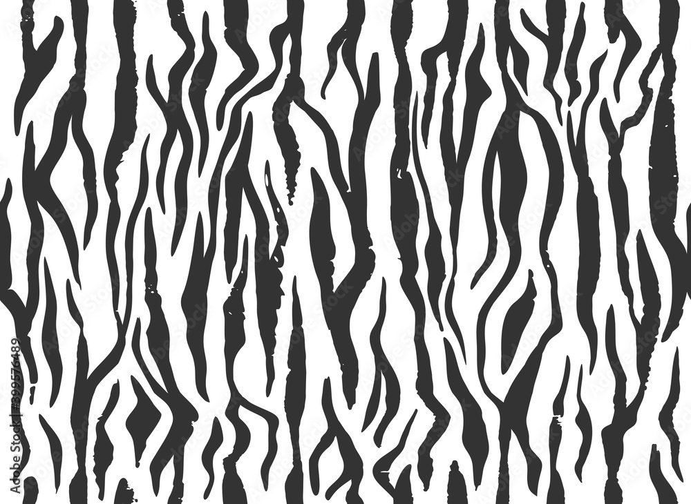 Zebra skin, stripes grunge pattern. Animal print. Black and white background. Vector texture. Zebra skin, stripes grunge pattern. Animal print. Black and white background. Vector texture.