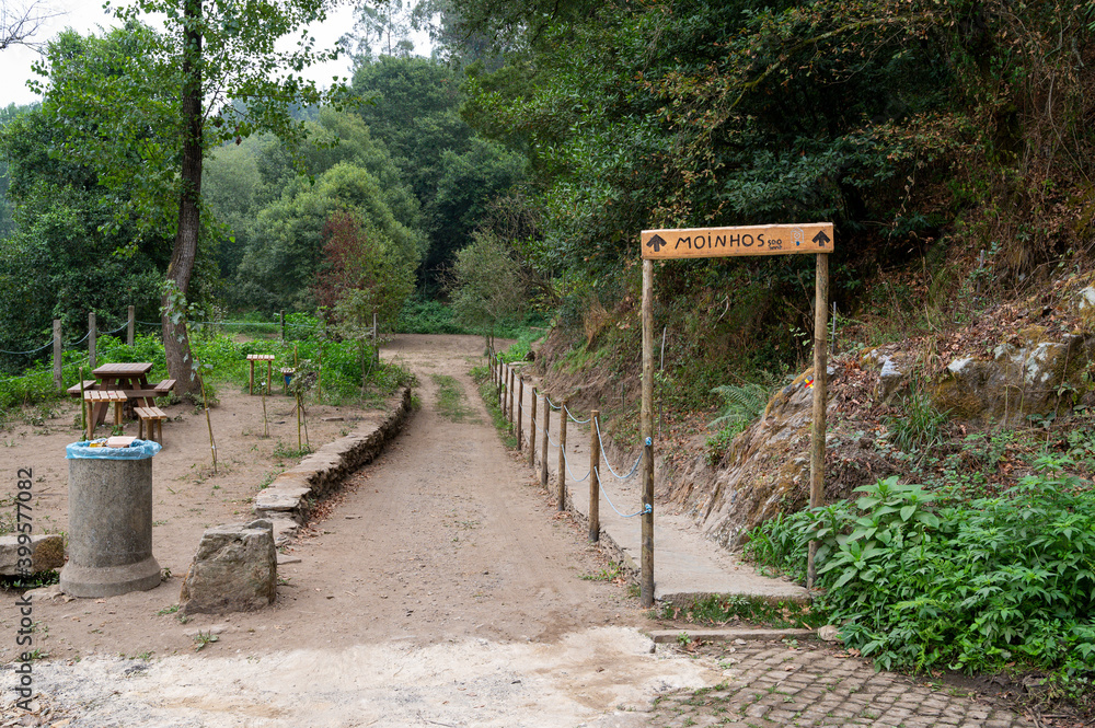 Pick nick table in a nature park. Path that leeds to the middle of the forest. Thrash can full. Porto. Pick nick table in a nature park. Path that leeds to the middle of the forest. Thrash can full. Porto.