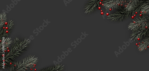 Spruce branches and red berries on dark background.