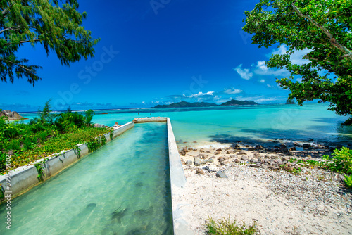 Wallpaper Mural Amazing tropical vegetation and ocean in La Digue, Seychelles Torontodigital.ca