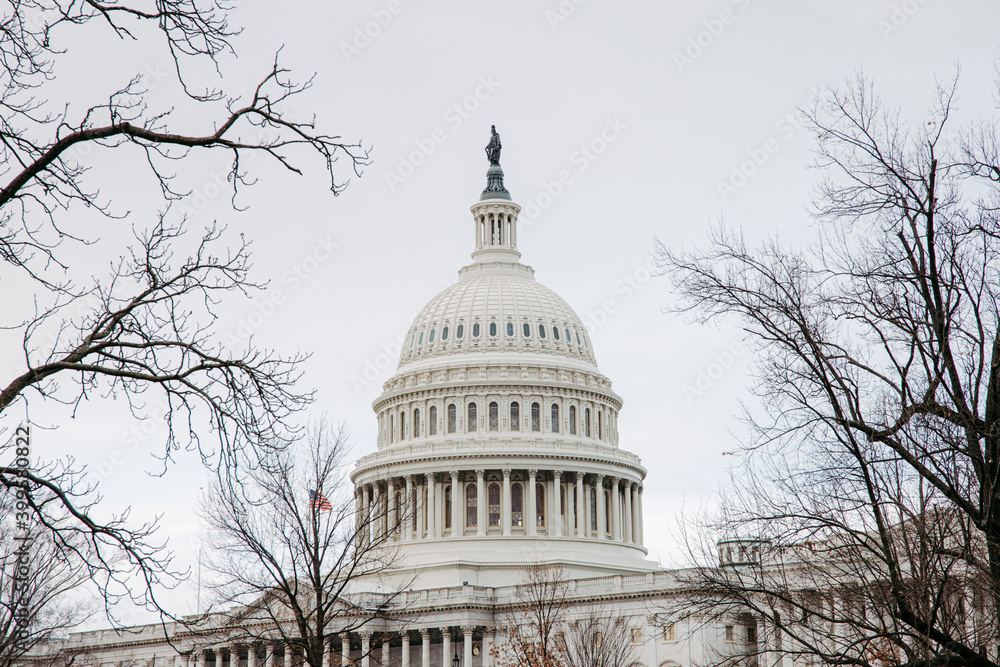 Fototapeta premium United States Capitol in Washington DC 