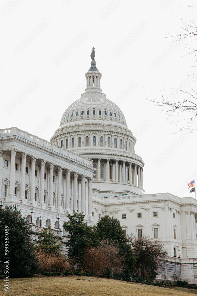 Fototapeta premium United States Capitol in Washington DC 
