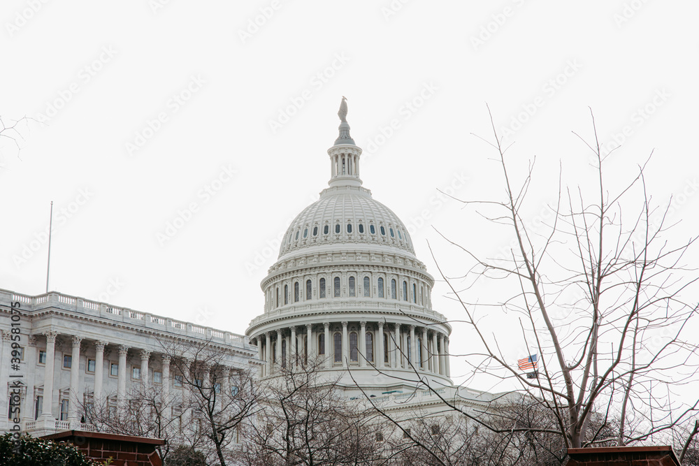 Naklejka premium United States Capitol in Washington DC