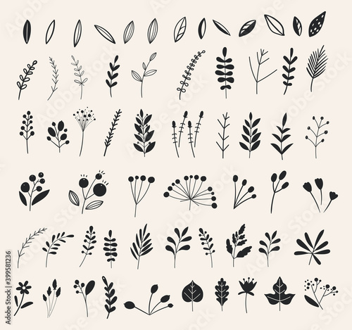 Hand drawn flowers and floral branches and berries, florals. Vector branches and leaves. Hand drawn floral elements in doodle style. Ink vintage botanical.