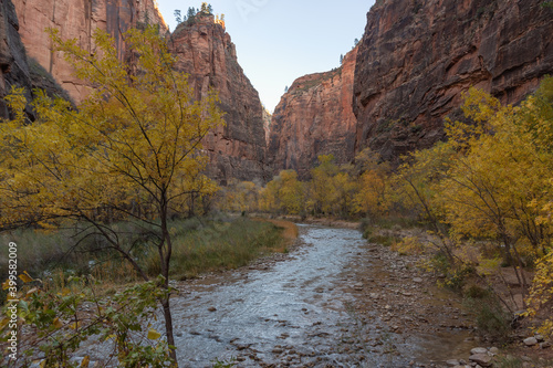 The Narrows of Zion Canyon