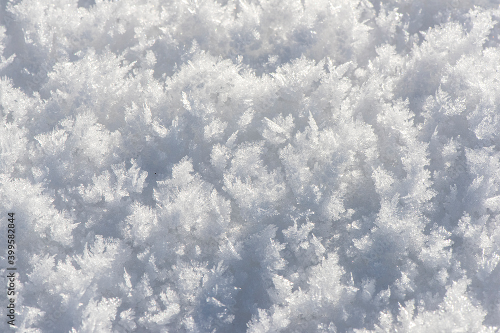 detail of fresh powdwer snow as Background detail of fresh powdwer snow as Background