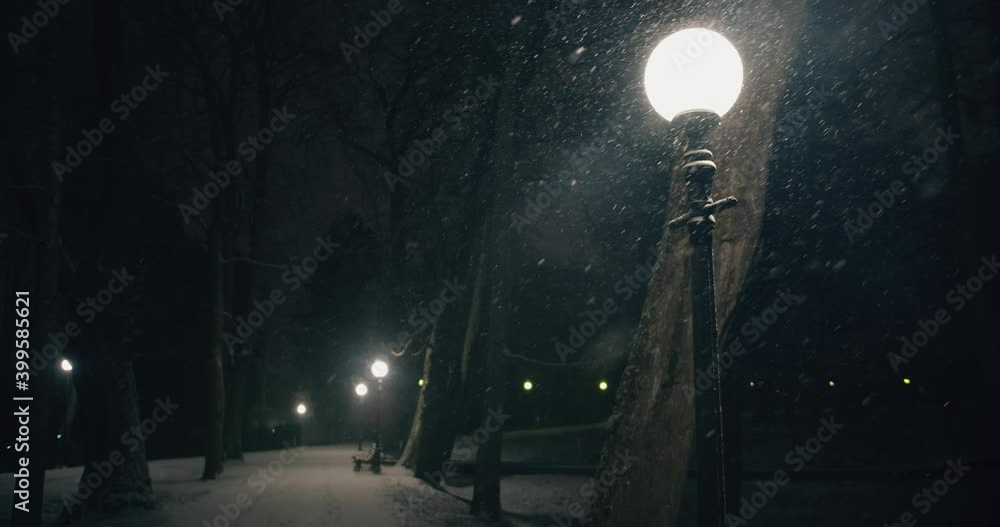 Christmas night street lights in city park snow falling from the sky in winter