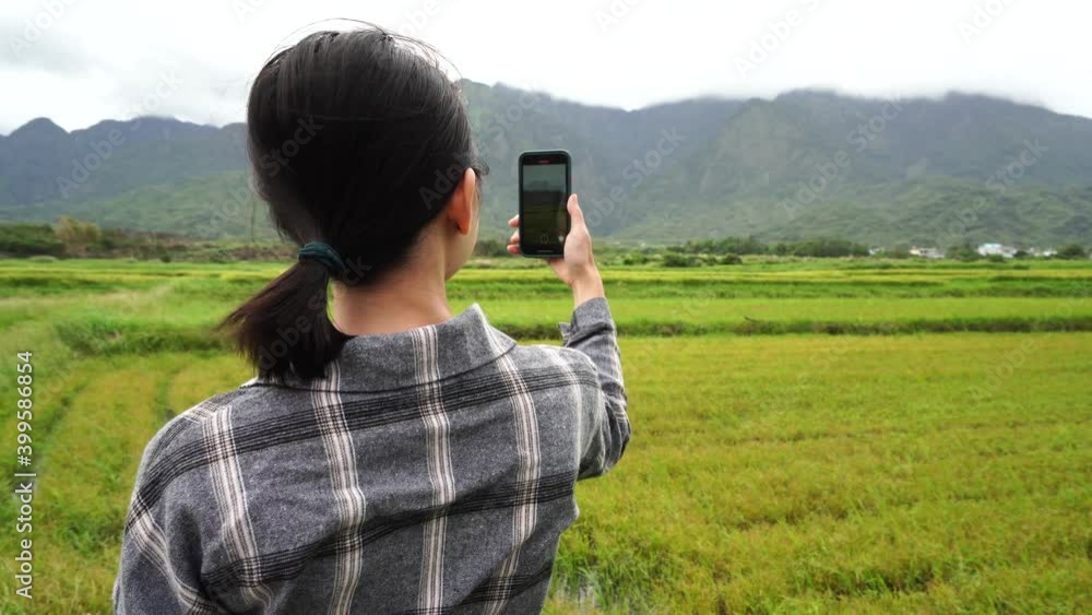 Ethnic woman with smartphone in lush field Ethnic woman with smartphone in lush field