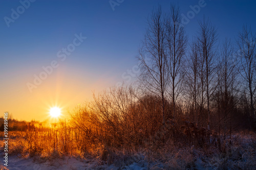 Dry grass in the rays of the winter sun at dawn. Winter beautiful landscape.