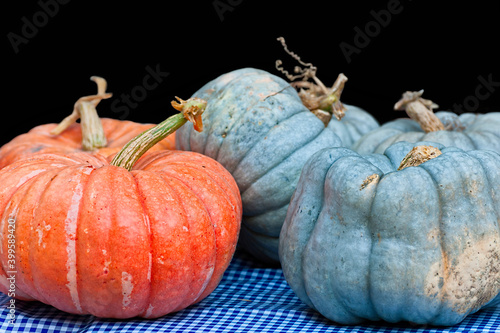 Closeup of Orange and Blue Pumpkins