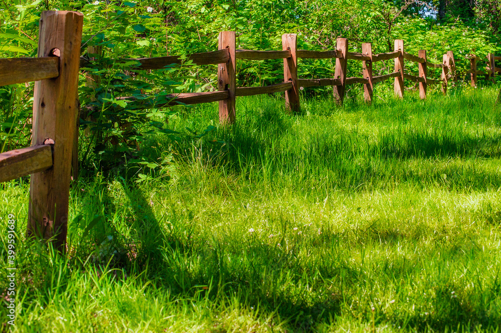 Obraz premium Fence leads the eye in this outdoor scene