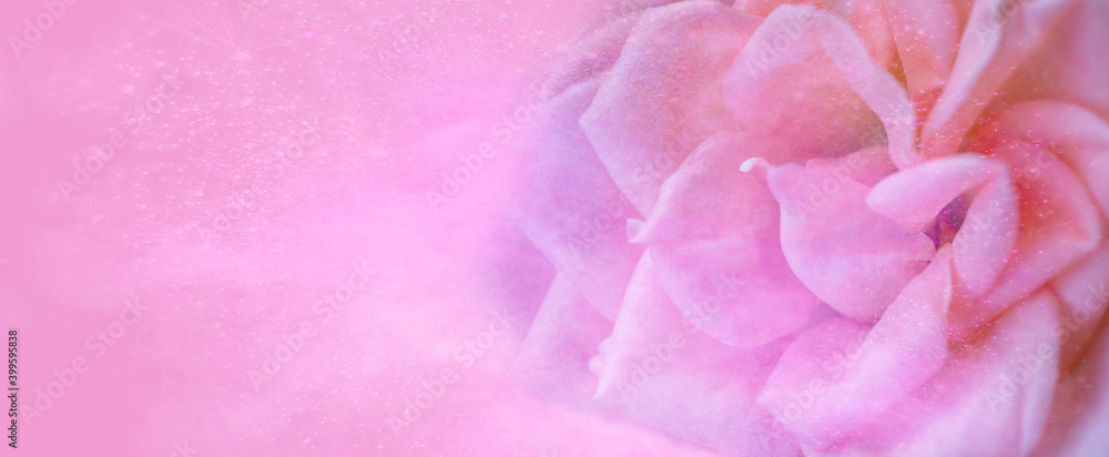 Beautiful pink congratulations card or wedding invitation with big blurred rose. Beautiful pink congratulations card or wedding invitation with big blurred rose.