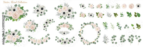 Set of floral elements. anemone ranunculus rose peony flowers, eucalyptus branches wreath green leaves and flowwers. Vector arrangements for greeting card or weddong invitation design