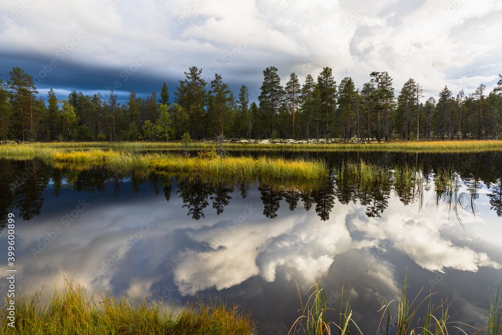 Fototapeta premium Autumn forest trees reflecting in the water.
