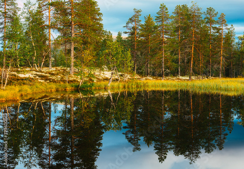 Fototapeta Naklejka Na Ścianę i Meble -  Autumn forest trees reflecting in the water.