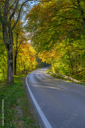 Landstraße durch eine Herbstwald, Bayern, Deutschland