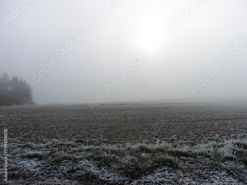 Landschaften mit Feldern, Raureif und Nebel
