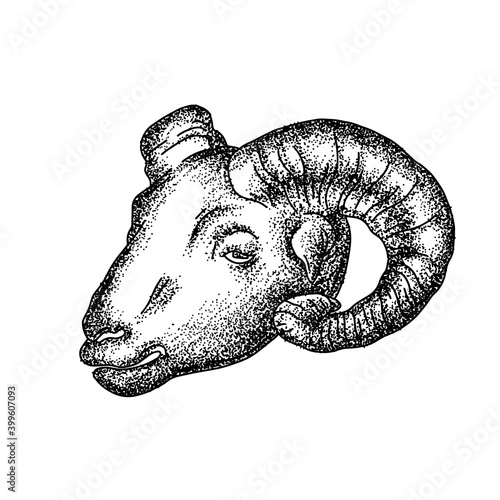 Vector hand drawn minimalistic illustration of ram. Creative artwork. Template for card, poster, banner, print for t-shirt, pin, badge, patch.