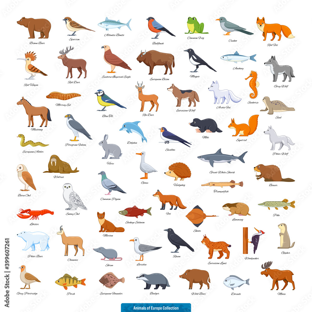 Animals of Europe Collection