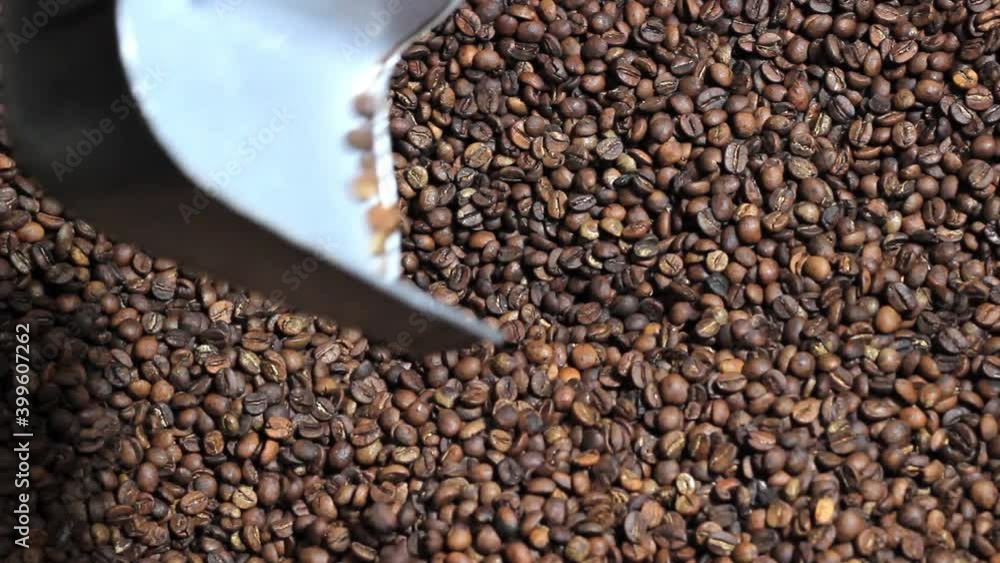 Roasted coffee beans with a metal scoop in them. Close-up, copy space. Roasted coffee beans with a metal scoop in them. Close-up, copy space.