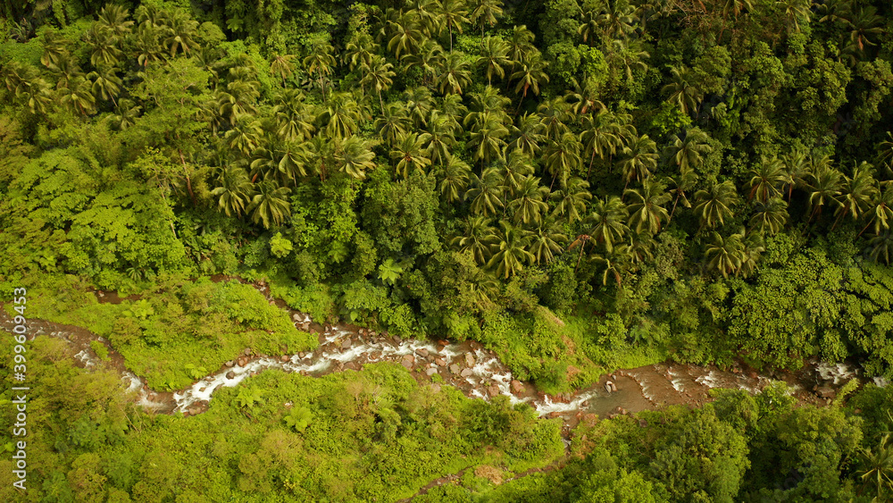 River in the valley among the rainforest, covered with trees and jungle aerial view. River in the green forest. Camiguin, Philippines.