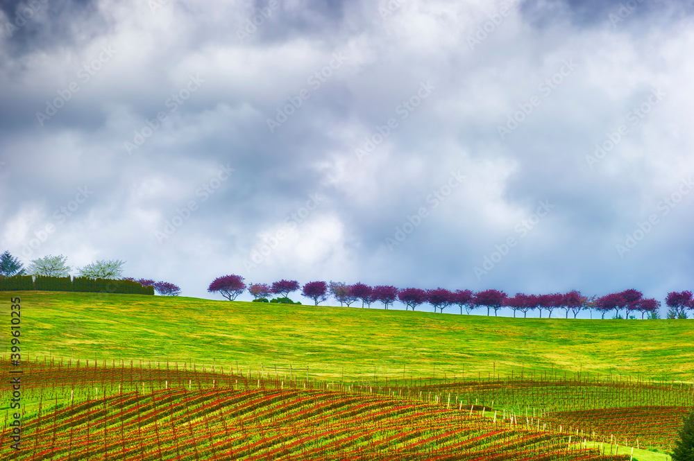 Cloudy skies about a patchwork of agricultural hillside