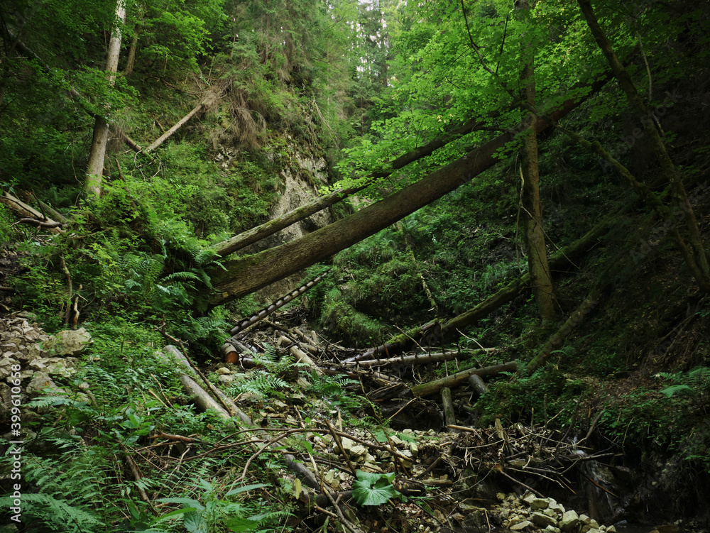 Magical canyons in the Slovak Paradise
