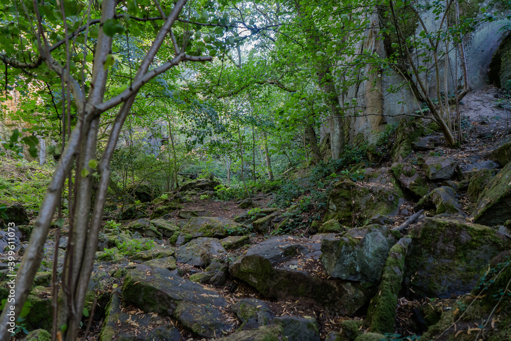 Footpath between rocks at the foot of a steep wall in the forest. Footpath between rocks at the foot of a steep wall in the forest.