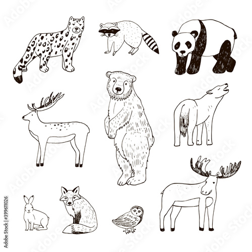 eurasia continent world animals hand drawn vector illustrations line set