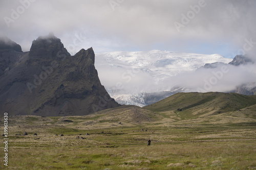 meadow in Iceland with the Vatnajökull National Park mountains and glaciers in the background © carlos