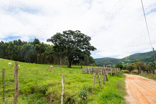 road in the countryside