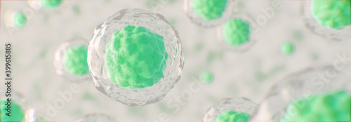 Stammzellen unter dem Mikroskop - 3D Visualisierung photo