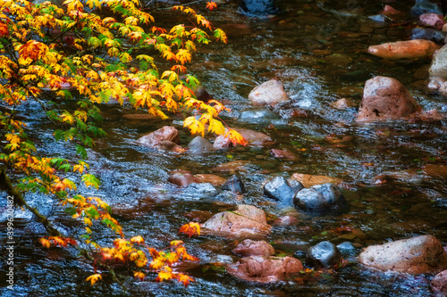 Fototapeta Naklejka Na Ścianę i Meble -  Autumn Colors on McKenzie Pass-Santiam Pass Scenic Byway